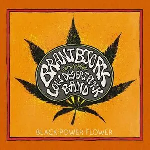 Black power flower
